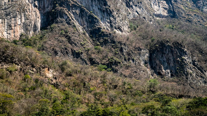 Naklejka premium Magic mountains, sheer cliffs, monkeys, crocodiles - Canyon del Sumidero