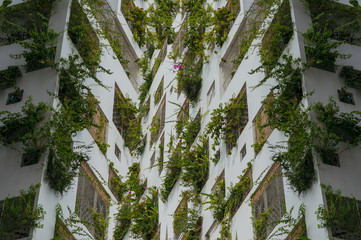 Green building architecture background. Building with green plants in windows