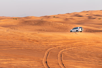 Offroad desert safari in Dubai desert