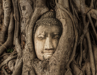 Old Buddha head