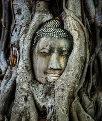 Old Buddha head ancient