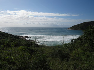 Fototapeta premium Beach, rocks, crystal clear water, trails, natural water pools, green plants and sun.