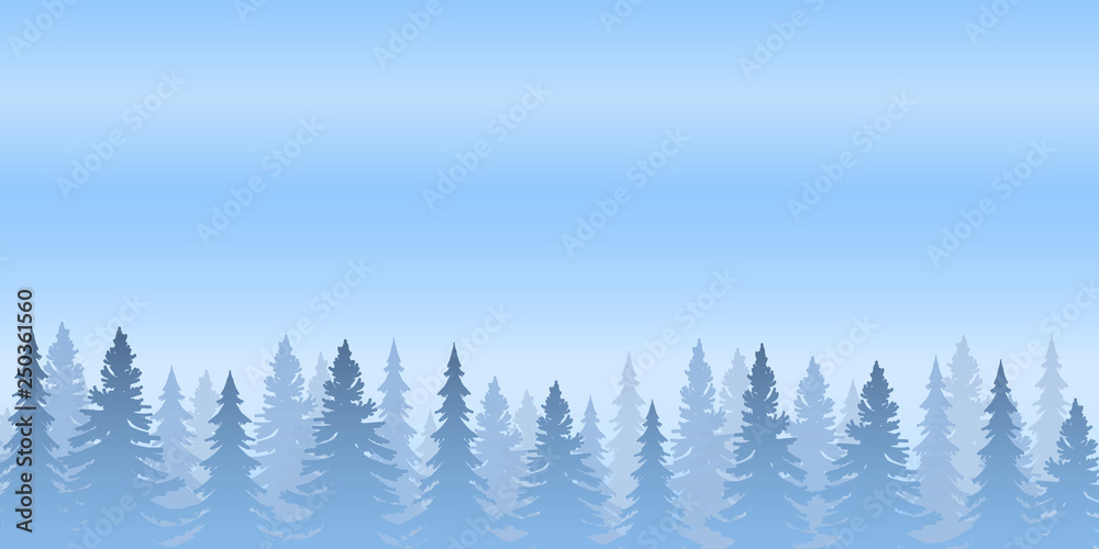 Wall mural blue pine forest and blue sky background.