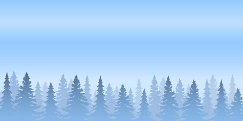 blue pine forest and blue sky background.