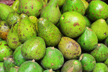 Fresh avocado in the market. background with ripe avocado