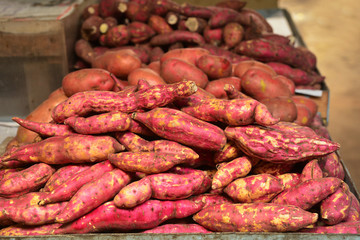 Fresh sweet potatoes or yam in the market.