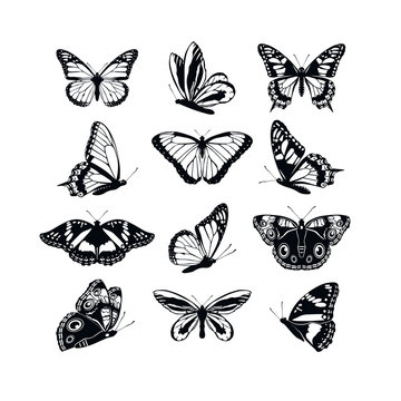 Set butterflies collection spring and summer black silhouettes on white background. Icons different shapes wings, for illustration, ornaments, tattoo, decorative design elements. Vector illustration.