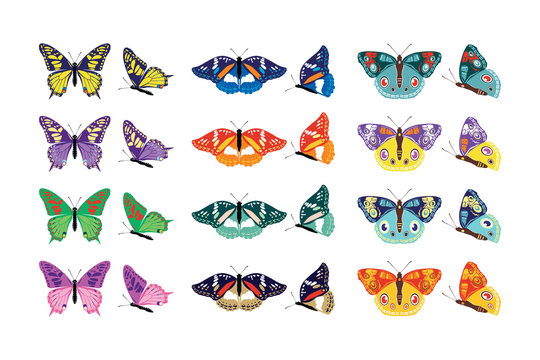 Set of colorful butterflies silhouettes collection spring and summer with different shapes of wings. Isolated on white background, for illustration, ornaments, tattoo. Vector illustration.