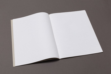 Magazine Mockup. Magazine page concept