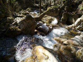 eiskalter Wildbach - Trinkwasser