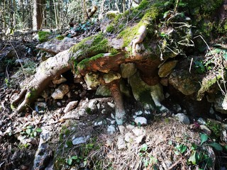 Bärenschützklamm Prügelweg im Winter