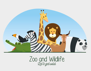 zoo safari wild animals reserve