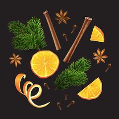 Vector. Large set of spices, orange, fir branches