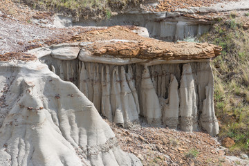 Dinosaur Canyon