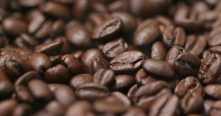 Roasted coffee bean