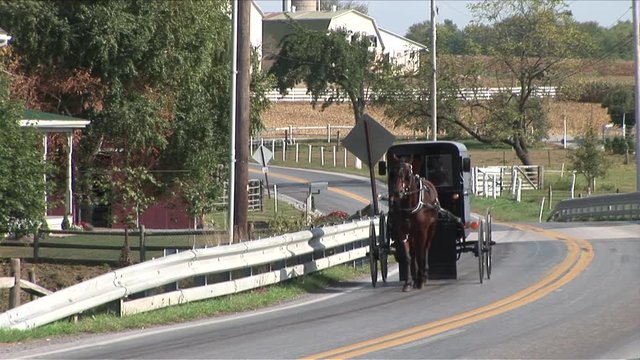 Amish horse and buggy next to farm in Lancaster, Pennsylvania