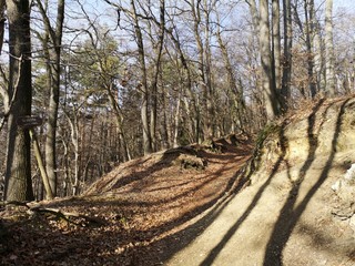 Bärenschützklamm Prügelweg im Winter