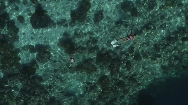 Aerial Bird's-eye zoom-out spin of Snorkelers on coral reef meeting scuba divers