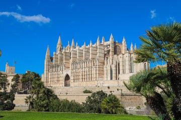 La Seu Cathedral Palma de Mallorca in Spain on a sunny day with blue sky 