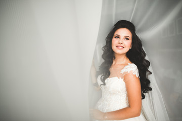 Beautiful luxury bride in elegant white dress