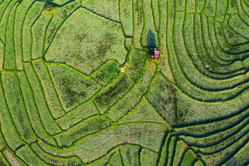 (View from above) Stunning aerial view of a little hut on a spectacular green rice terrace which...