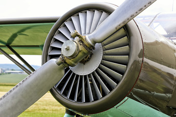 Detail of the metal propeller and engine cover