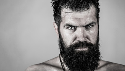Portrait brutal bearded man. Handsome brutal male. Sexy closeup portrait of brutal handsome male,...