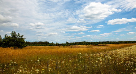 Lithuanian landscape