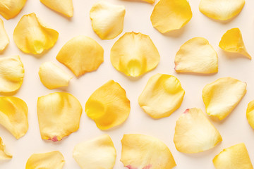Rose flower petals