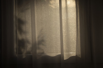 Shadows on the curtain