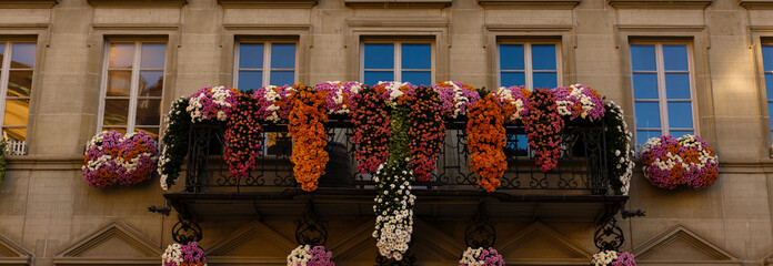 autumn flowers on the facade. Sunset colors in autumn.