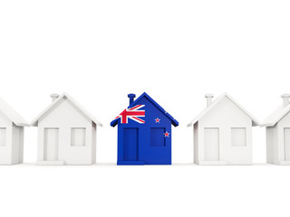 House with flag of new zealand
