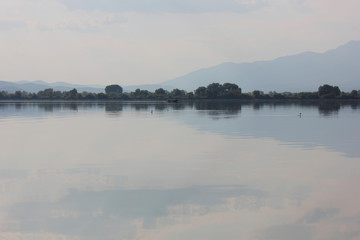 Lake of Kerkini Serres Greece Europe