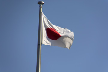 Japanese National Flag