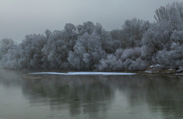 River in the fog. Forest by the river in hoarfrost, hoarfrost. Background water of the river and the forest on the shore in the fog.