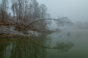 River in the fog. Forest by the river in hoarfrost, hoarfrost. Background water of the river and the forest on the shore in the fog.