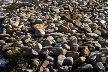 Stones. Cobblestones. Pebbles. Polished rounded stones. Pattern. Texture. Background.