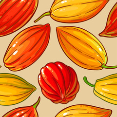 cocoa vector pattern