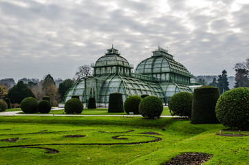 Fototapeta na wymiar Vienna - Giardino Botanico