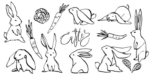 Cute rabbits, hand draw illustration with letterings phrases-Easter. Draw illustration postcards design of cute rabbit.