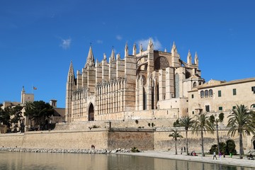 Fototapeta premium La Seu Cathedral Palma de Mallorca in Spain on a sunny day with blue sky 