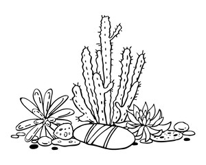 Cactus and succulents composition. Vector hand drawn outline black and white sketch illustration