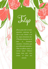 Naklejka premium Floral background. Hand drawn vector botanical illustration. Template greeting card, wedding invitation banner with spring flowers. Sketch linear tulips blossom.Engraved style illustration.