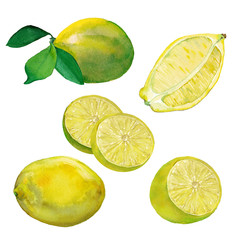 Watercolor set of fresh Lemons. Fruits with leaves and cut in the middle. Objects isolated on white background. 
