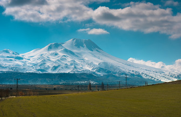 Wheat Field and Snowy Mountains