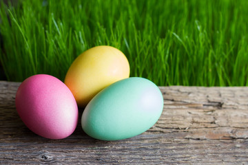 Colorful easter eggs on wooden plank and green grass