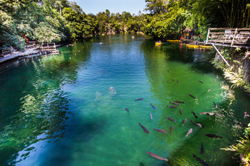 Brazilian people have fun in lake water