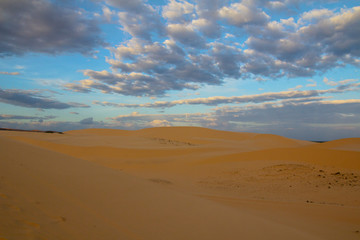Fototapeta na wymiar Desert Sand Dunes Against the Evening Sky