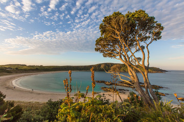 Top view of the crescent shaped Maitai Bay and sandy beach, afternoot light