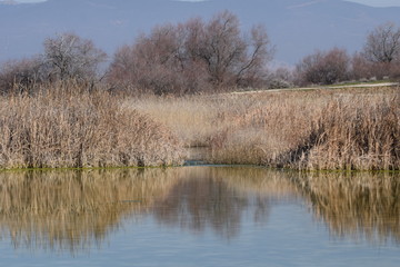 Las Tablas de Daimiel, Ciudad Real, España